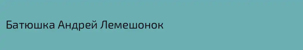 Батюшка Андрей Лемешонок